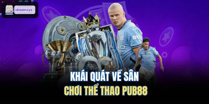 Khái quát về sân chơi thể thao TOP88
